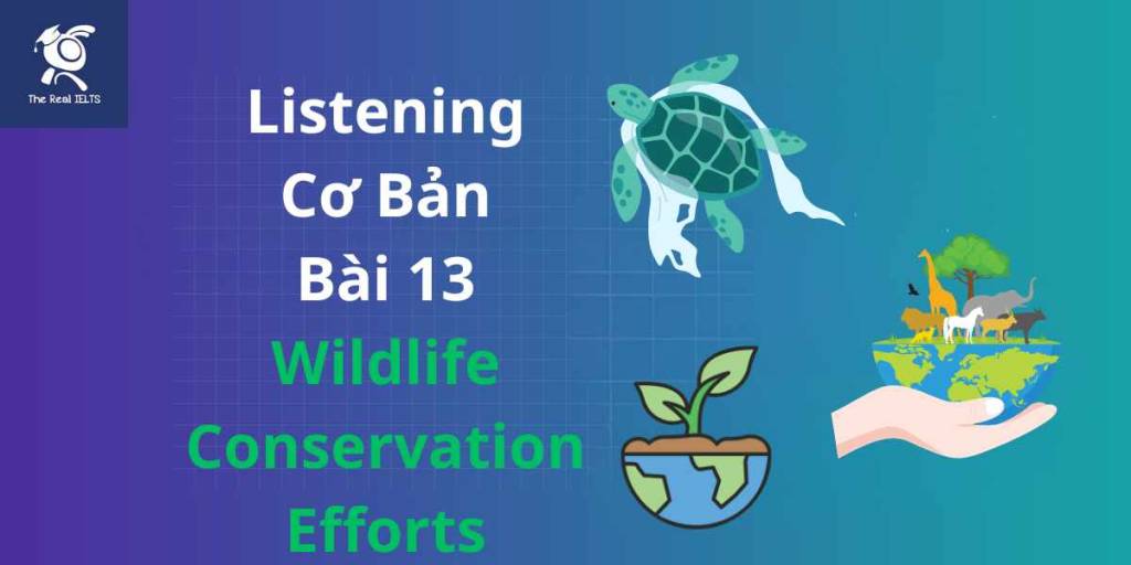 The Real IELTS bai tap listening 13 wildlife conservation efforts