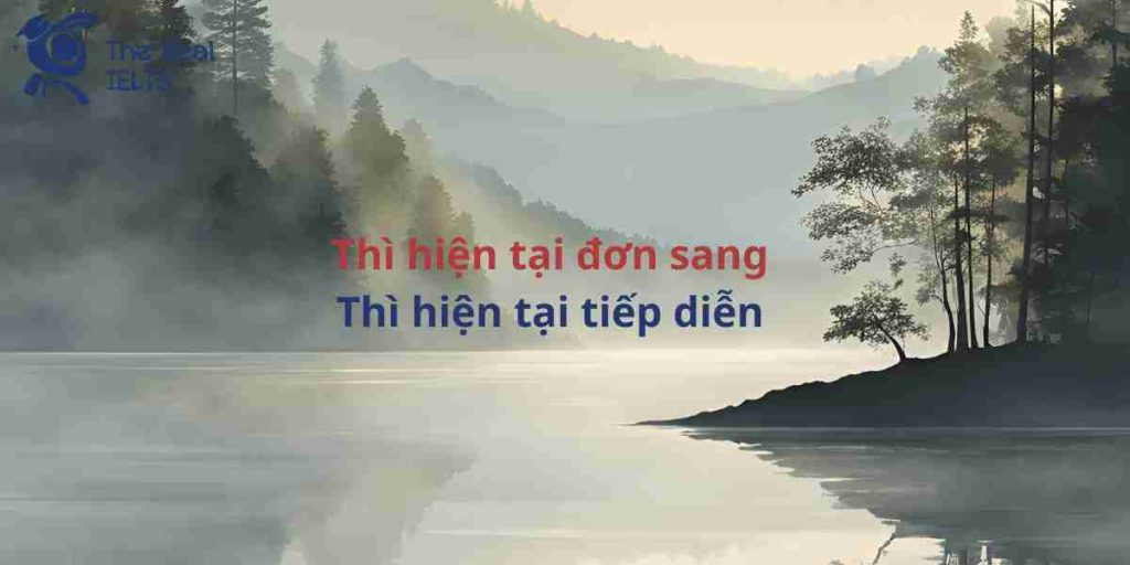 100-viet-lai-cau-doi-cau-tu-thi-hien-tai-don-tiep-dien