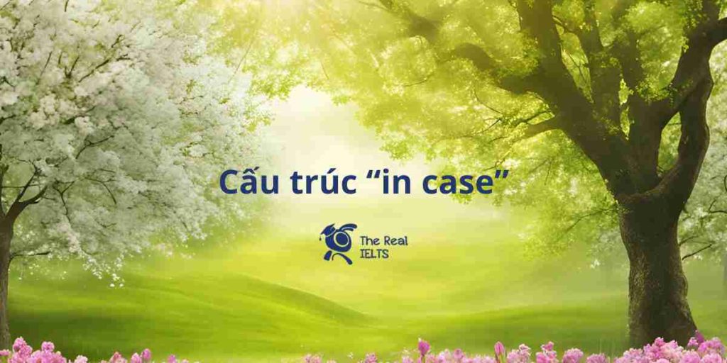 100-viet-lai-cau-su-dung-cau-truc-in-case