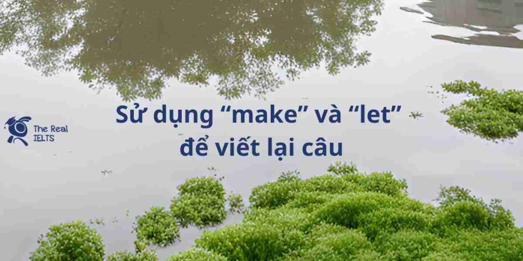 100-viet-lai-cau-su-dung-make-va-let