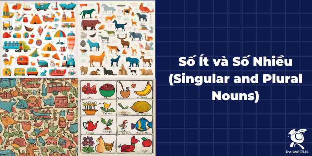 so-it-va-so-nhieu-singular-and-plural-nouns