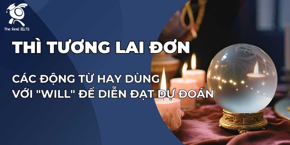 cac-dong-tu-hay-dung-voi-will-de-dien-dat-du-doan