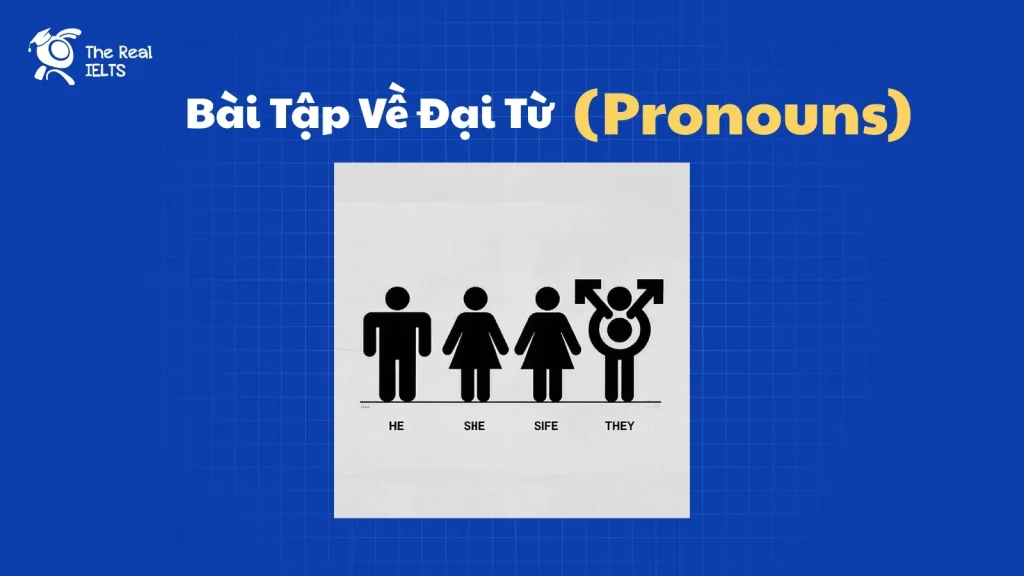 bai-tap-ve-dai-tu-pronouns-trong-tieng-anh