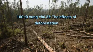The Real IELTS Luyện thi IELTS Online Về giáo viên The Real IELTS 100-tu-vung-chu-de-the-effects-of-deforestation
