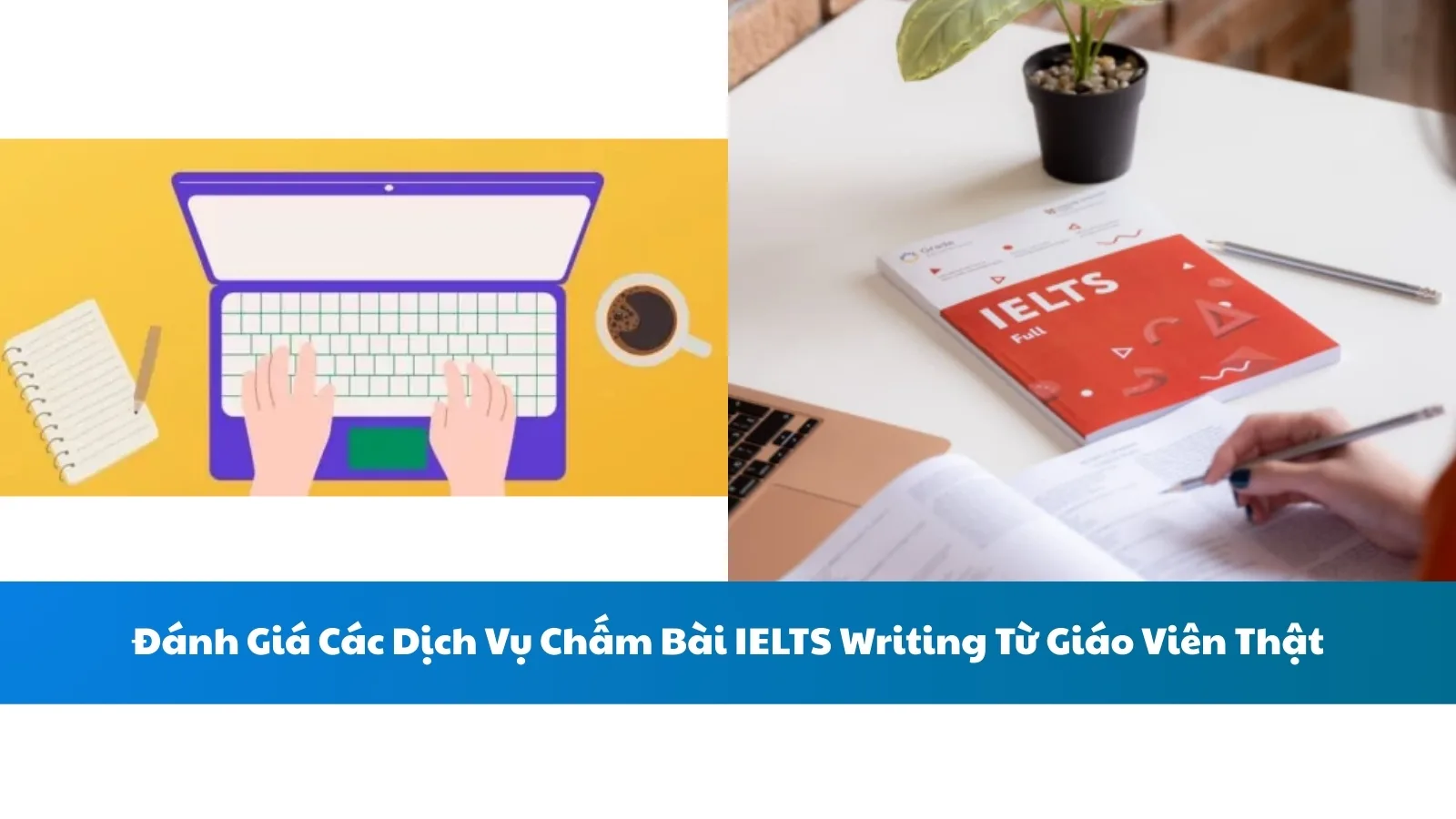 Đánh Giá Các Dịch Vụ Chấm Bài IELTS Writing Từ Giáo Viên Thật