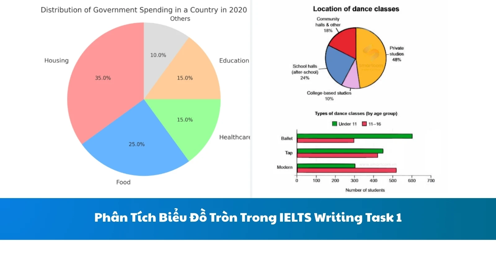 Phân Tích Biểu Đồ Tròn Trong IELTS Writing Task 1