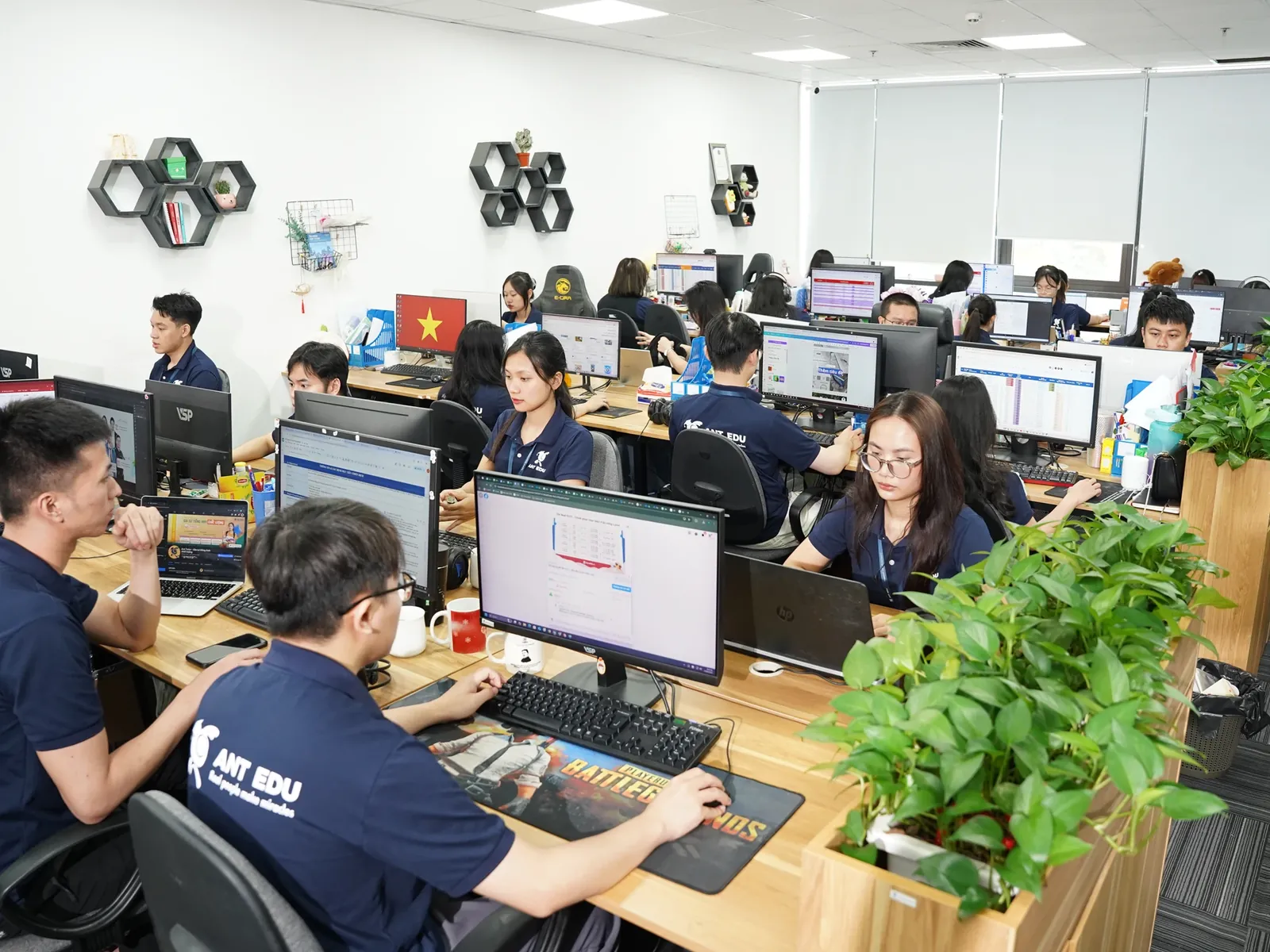 Ant Edu ra đời: khởi đầu The Real IELTS (08/2022)